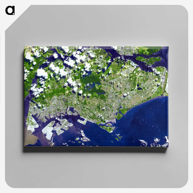 2-3_Earth-from-Above_canvas