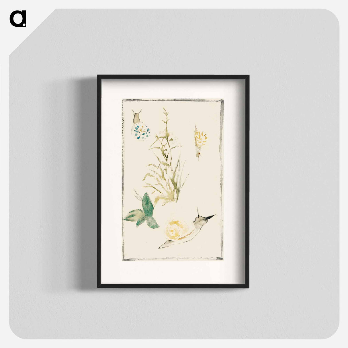 アートポスター-Sketches of Snails, Flowering Plant - エドゥアール マネ Poster.