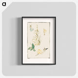 アートポスター-Sketches of Snails, Flowering Plant - エドゥアール マネ Poster.