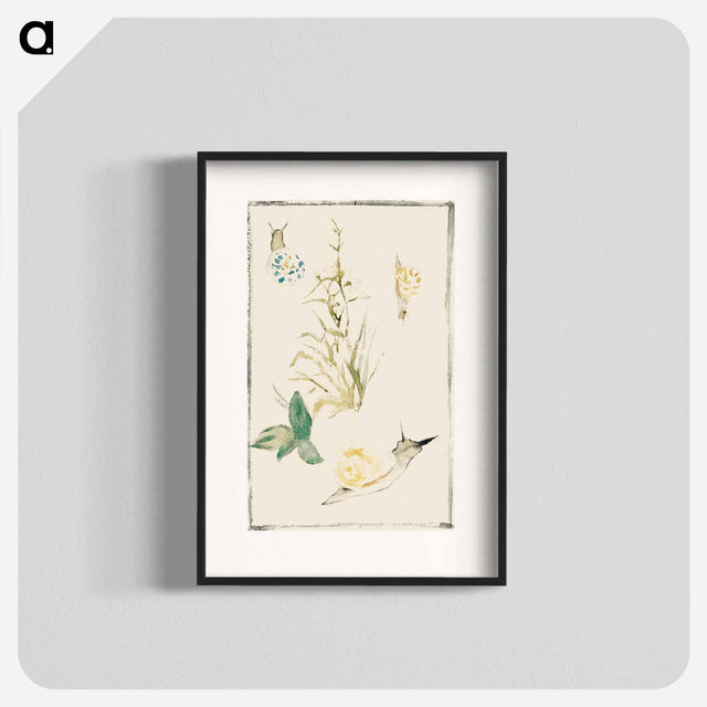 アートポスター-Sketches of Snails, Flowering Plant - エドゥアール マネ Poster.