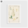 アートポストカード-Sketches of Snails, Flowering Plant - エドゥアール マネ Postcard.