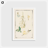 アートポストカード-Sketches of Snails, Flowering Plant - エドゥアール マネ Postcard.