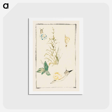 アートポストカード-Sketches of Snails, Flowering Plant - エドゥアール マネ Postcard.
