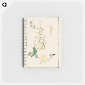 アートメモ帳-Sketches of Snails, Flowering Plant - エドゥアール マネ Memo.