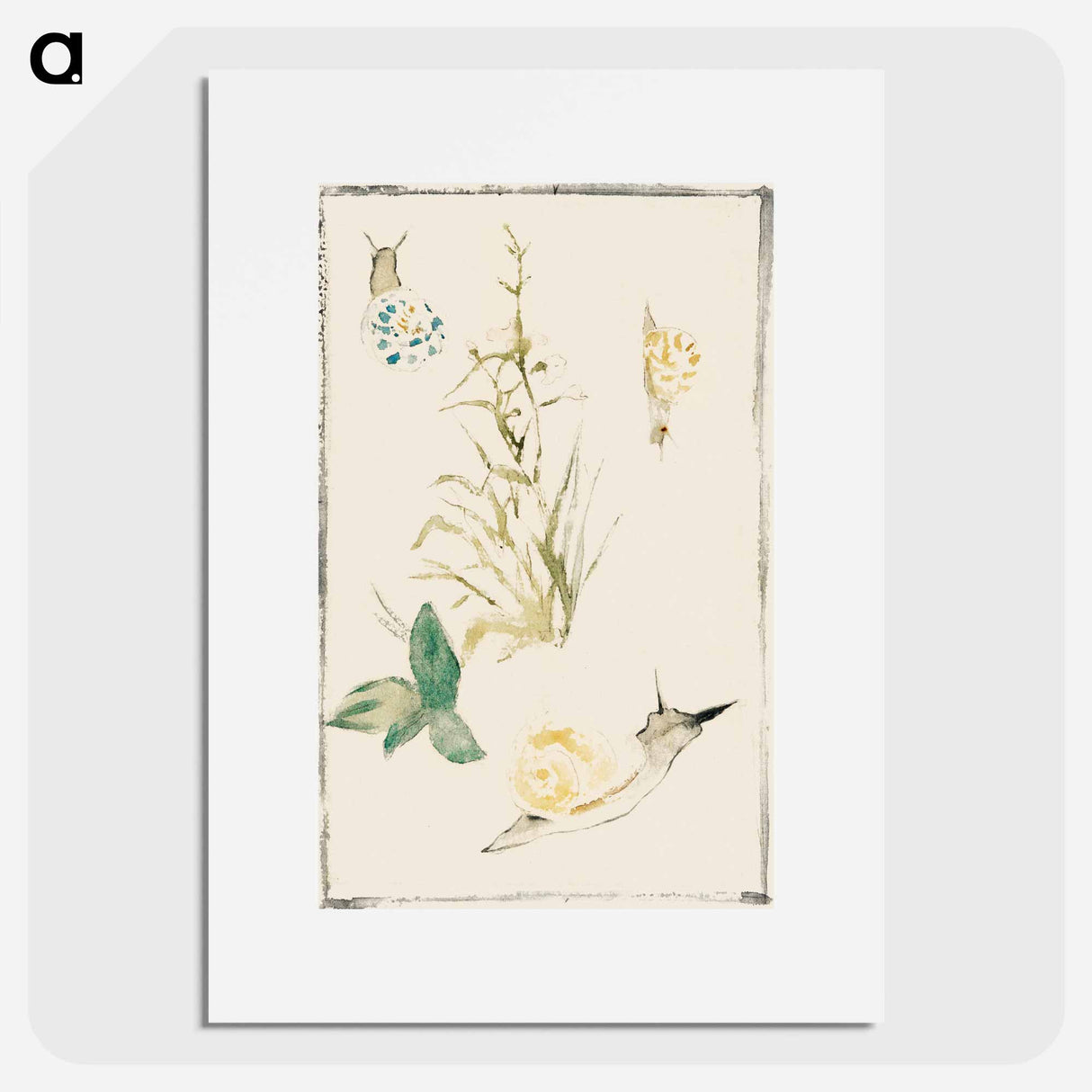 アートポスター-Sketches of Snails, Flowering Plant - エドゥアール マネ Poster.