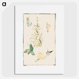 アートポスター-Sketches of Snails, Flowering Plant - エドゥアール マネ Poster.