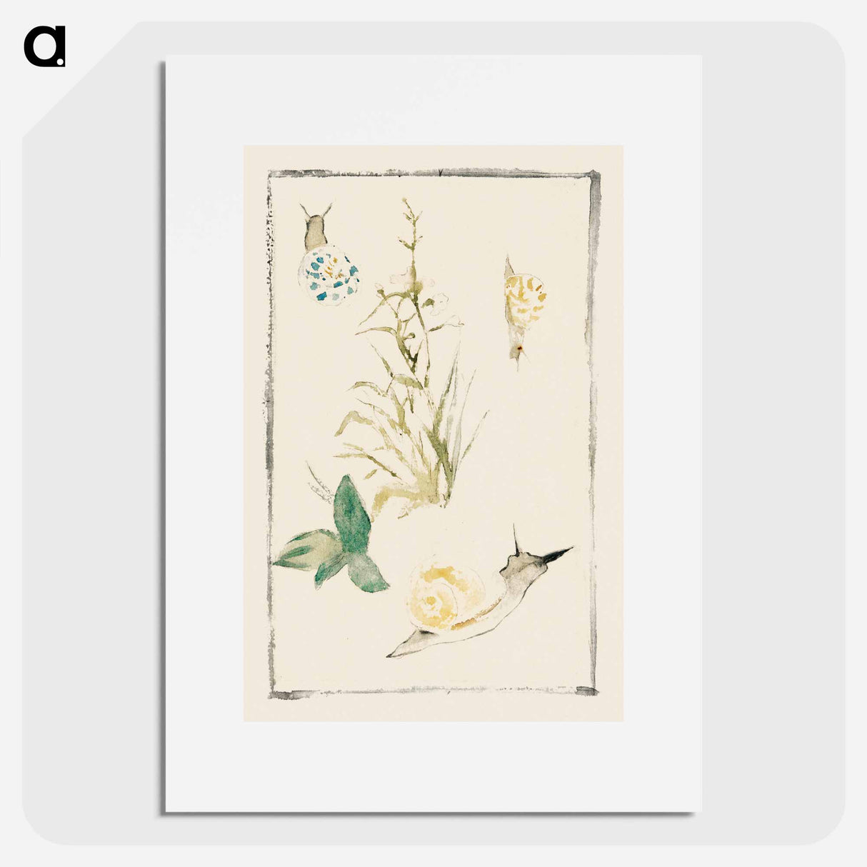 Sketches of Snails, Flowering Plant - Édouard Manet Poster.