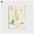 2-3_Edouard-Manet_postcard