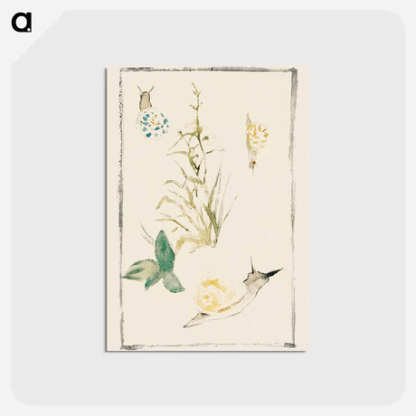 アートポストカード-Sketches of Snails, Flowering Plant - エドゥアール マネ Postcard.