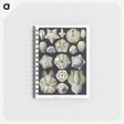 2-3_Ernst-Haeckel_memo