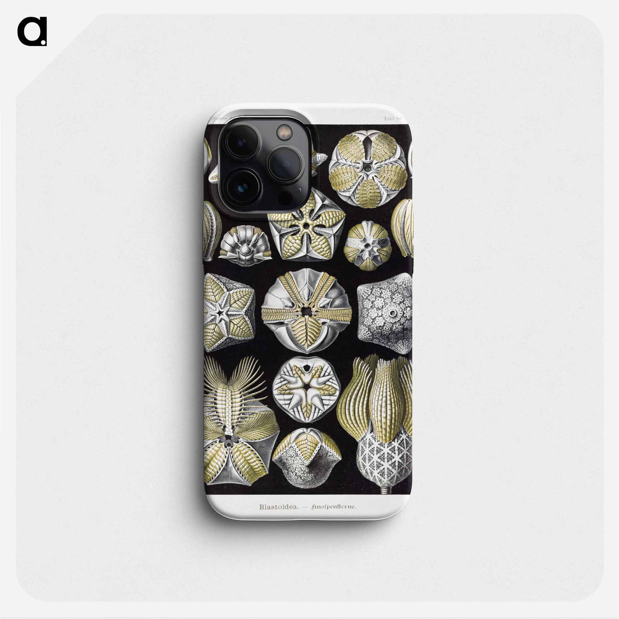 Blastoïdea–Knospensterne - エルンスト ヘッケル Phone Case.