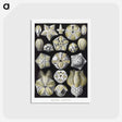 2-3_Ernst-Haeckel_postcard