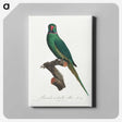 2-3_Francois-Levaillant_canvas