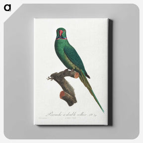2-3_Francois-Levaillant_canvas