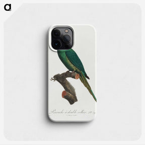 2-3_Francois-Levaillant_phone