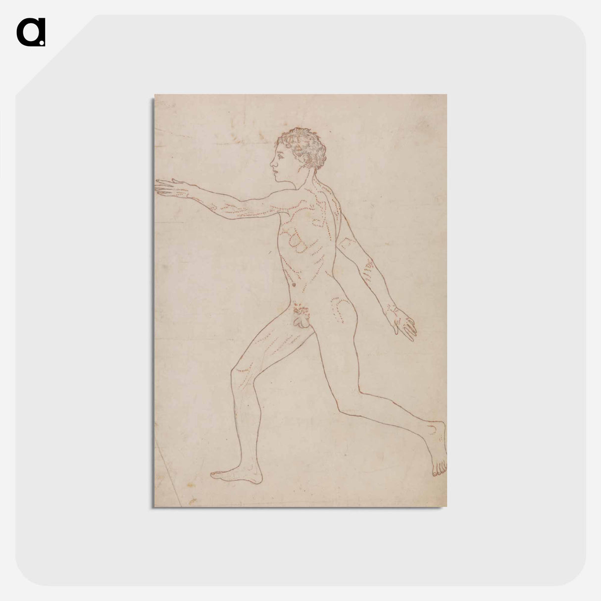 アートポストカード-Human Figure, Lateral View
 - ジョージ スタッブス Postcard.