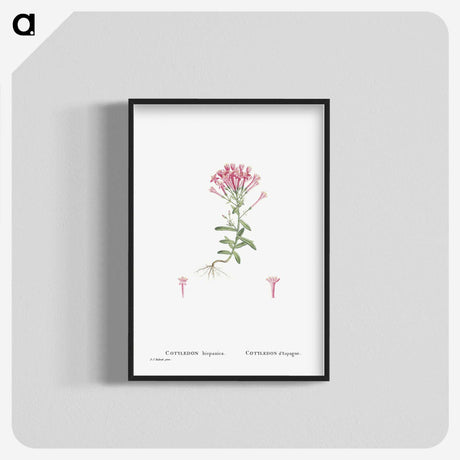 2-3_Histoire-des-Plantes-Grasses_blk-crop
