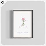 2-3_Histoire-des-Plantes-Grasses_blk
