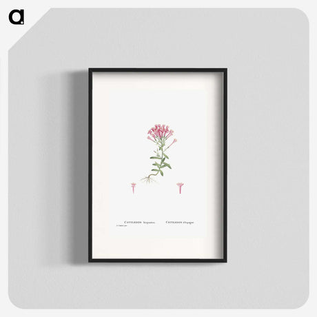 2-3_Histoire-des-Plantes-Grasses_blk