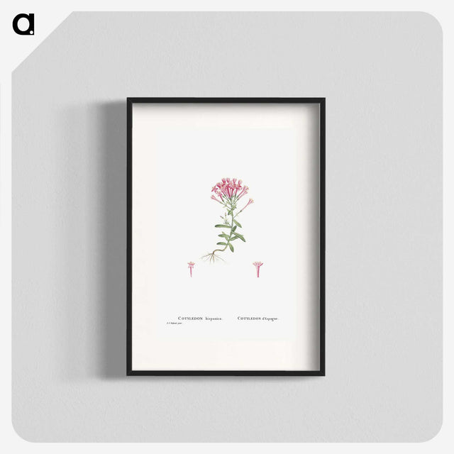 2-3_Histoire-des-Plantes-Grasses_blk