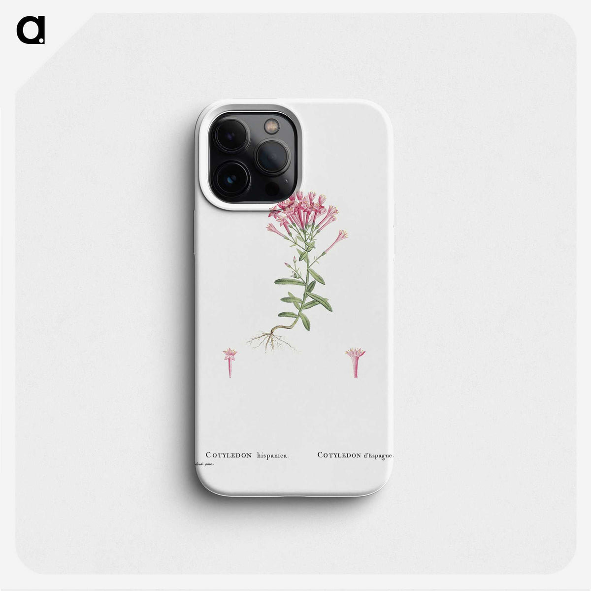 2-3_Histoire-des-Plantes-Grasses_phone