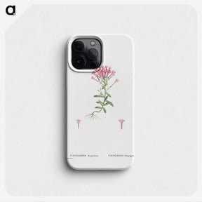 2-3_Histoire-des-Plantes-Grasses_phone