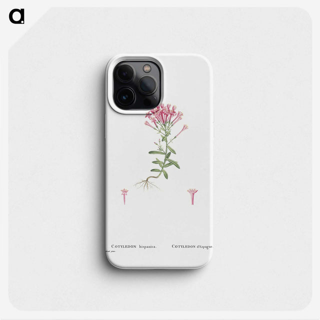 2-3_Histoire-des-Plantes-Grasses_phone