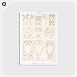 アートポストカード-Offerings of Seti I and Ramses II
 - エジプト美術史 Postcard.