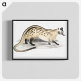 2-3_Indian-Zoology_blk-crop