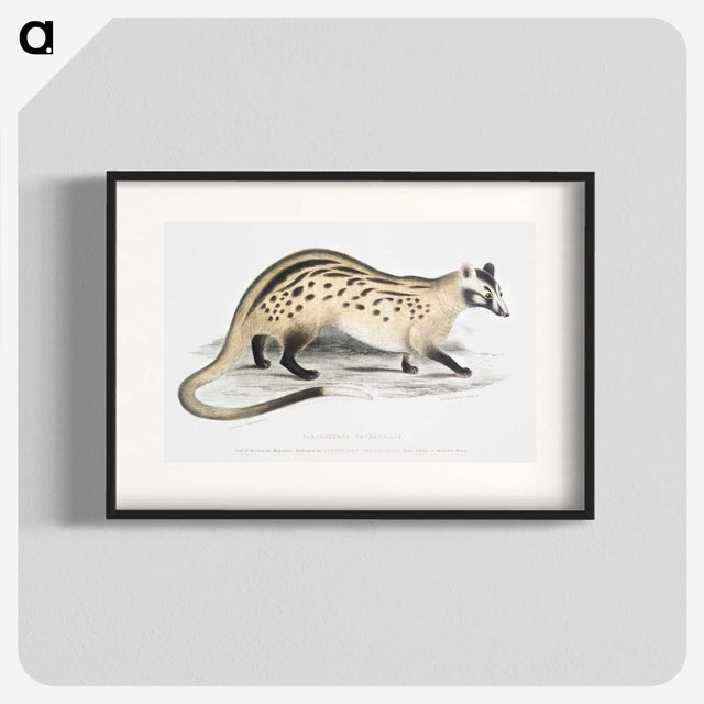 2-3_Indian-Zoology_blk