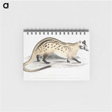 2-3_Indian-Zoology_memo