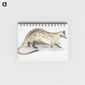 2-3_Indian-Zoology_memo