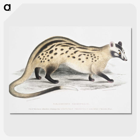 2-3_Indian-Zoology_picture-crop