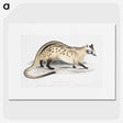 2-3_Indian-Zoology_picture