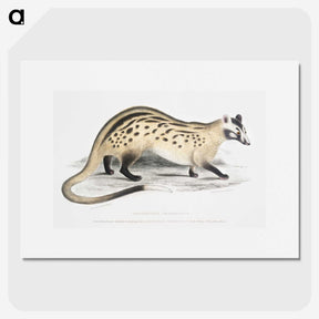 2-3_Indian-Zoology_picture