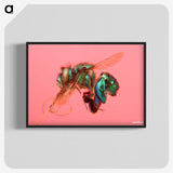 2-3_Insects-Unlocked-Project_blk-crop