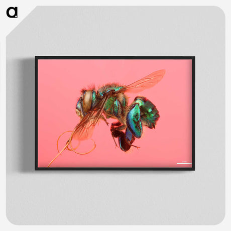2-3_Insects-Unlocked-Project_blk-crop