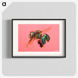 2-3_Insects-Unlocked-Project_blk
