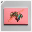 2-3_Insects-Unlocked-Project_canvas
