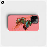 2-3_Insects-Unlocked-Project_phone