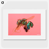2-3_Insects-Unlocked-Project_picture