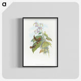 2-3_John-Gould_blk-crop