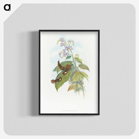 2-3_John-Gould_blk-crop