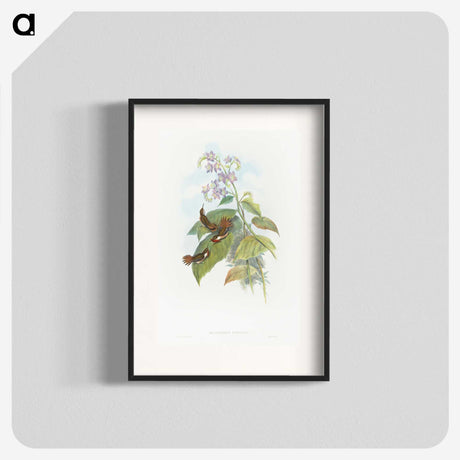 2-3_John-Gould_blk