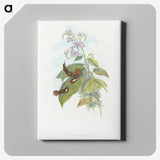 2-3_John-Gould_canvas