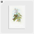 アートポストカード-Scintillant Hummingbird
 - ジョン グールド Postcard.