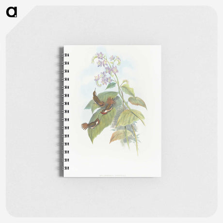 2-3_John-Gould_memo