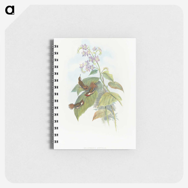 2-3_John-Gould_memo