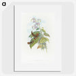 2-3_John-Gould_picture