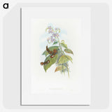2-3_John-Gould_picture